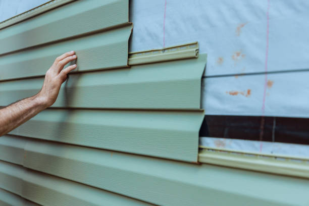 Best Vinyl Siding Installation  in Holly Springs, GA